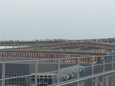 これが世界最大の木造建築物、これはすごい