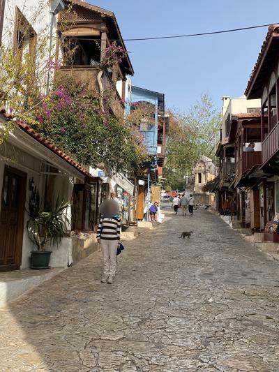 やり忘れたことをしに2度目のトルコ２～イスタンブールからカシュ到着まで