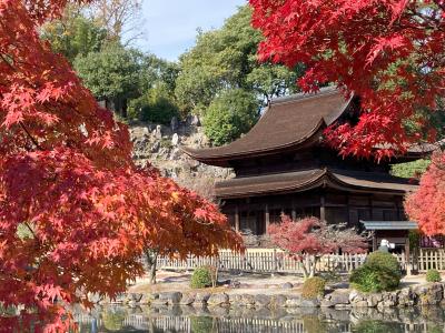 色鮮やかな虎渓山永保寺とオリベストリート