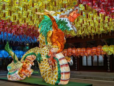 208回目訪韓(2025/4/24木~26土)②/⑥三光寺~夕食