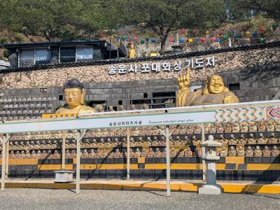 208回目訪韓(2025/4/24木~26土)④/⑥蔚山の松雲寺