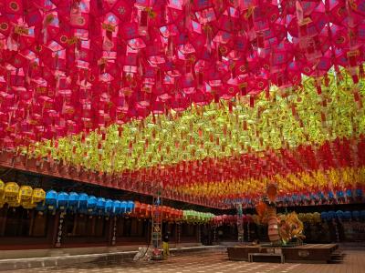 208回目訪韓(2025/4/24木~26土)③/⑥朝食~三光寺