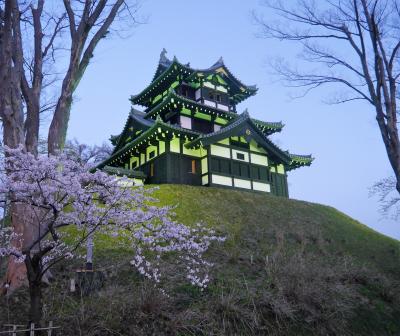2025春桜愛でる*.・高田城址公園の観桜会*.・