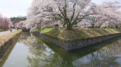 2025年 日本に二つ・龍岡城五稜郭で桜を愛でる：新海三社神社＆蕃松院