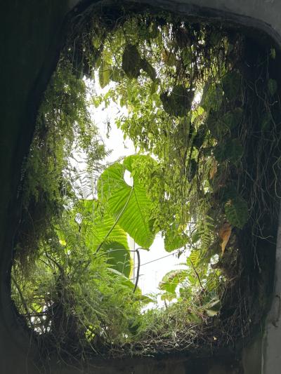 想像以上に楽しかったシンガポール② 2日め午後~