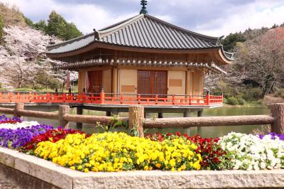 あをによし奈良の都のさくらwith世界遺産②金峰山寺、談山神社、安倍文殊院他
