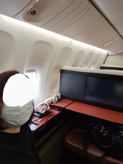 常識人はしない北欧1泊3日☆往路:ファーストクラス編☆