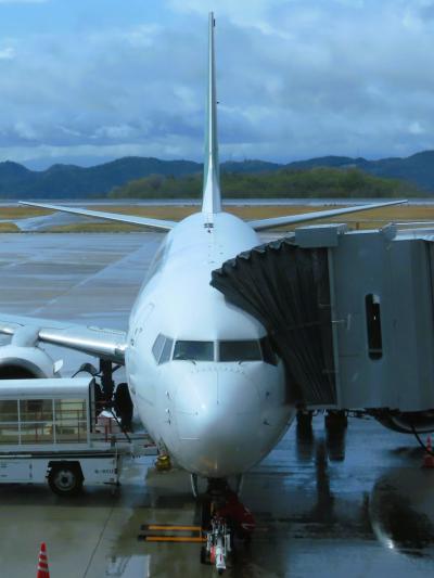 IJ621便　広島空港  9:10着　 成田flight～1時間40分　☆バス50分⇒広島駅新幹線口へ