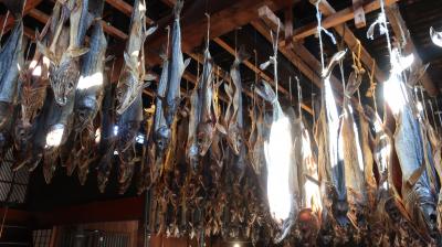 2024年　11月　新潟県　村上市　村上市郷土資料館など