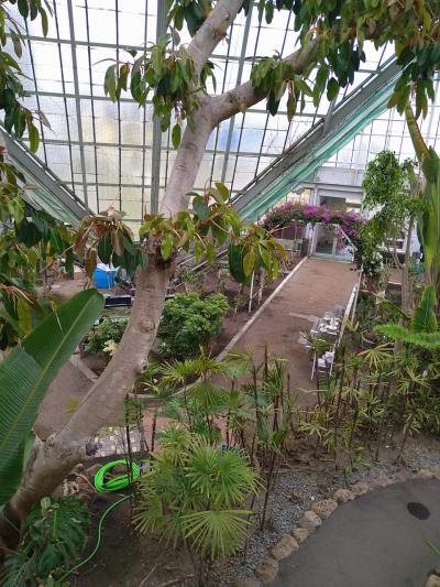 函館ひとり旅2泊3日④