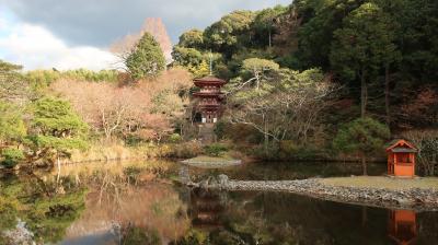 2025年　1月　京都府　木津川市　浄瑠璃寺