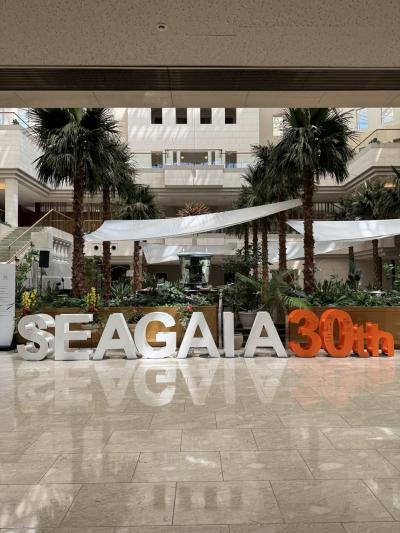 マイルでサ旅&マリオット修行 さようならシェラトングランデ ~25年 宮崎篇~