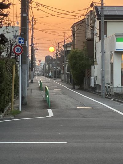 開花宣言