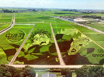 2025 田んぼアートは「劇場版『鬼滅の刃』無限城編」とコラボレーション（・ω・）/♪