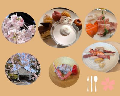 名古屋市八事興正寺の満開の桜♪＆マリオットでのお祝いのランチ、寿司やのランチ♪