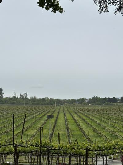 2025年GWカリフォルニア~ワイナリー巡りとあちこちぐるめ旅~その1