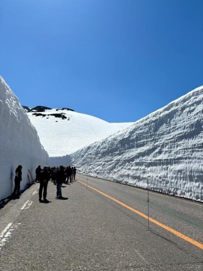 「雪の大谷」＆高山、白川郷　20年ぶりのバスツアー