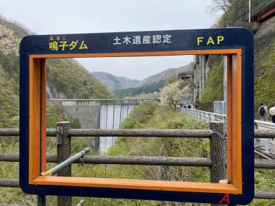 電車の旅No.2 宮城県&東京観光 旅行No.9