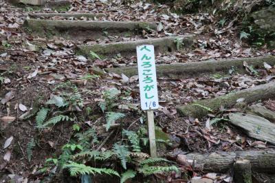 四国遍路のミッシングポイントの遍路ころがしを歩いて12番焼山寺へ