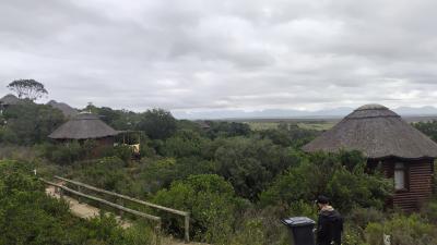 喜望峰とワインとサファリ。ケープタウンのんびり旅⑦ガーデンルートゲームドライブ二日目