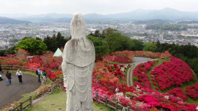 つつじを求めて-茨城、笠間つつじ公園