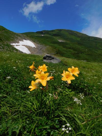 真夏の鳥海山河原宿