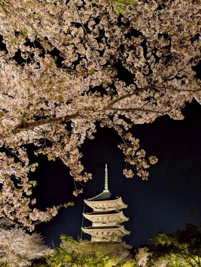 母の三回忌帰り、春の京都を堪能