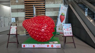 『４トラマップ塗りつぶし 』栃木県 Vol.１ 宇都宮といえば餃子でしょ！ここは餃子食べ歩き以外に選択肢はない！