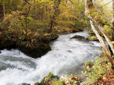 紅葉の奥入瀬を散策したくて東北へ