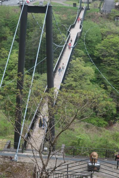 鬼怒川温泉2泊3日ゆっくり旅行(鬼怒川温泉編)