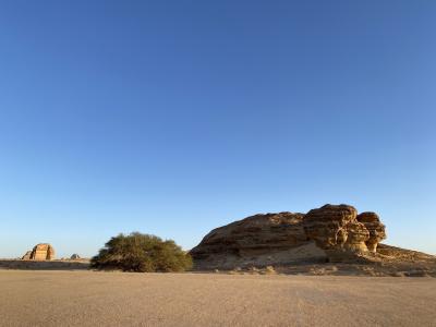 サウジアラビア メディナとジェッダへ