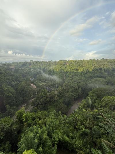 2025.4タイ航空ビジネスクラスで行くバリ島現地集合解散?レギャン、ウブド、タンジュンベノアその2ウブドでまったり大人の休日?