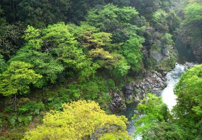 渓谷ビューのお部屋・お箸で食べるイタリアン　奥多摩『はとのす荘」＆青梅で昭和にタイムスリップ