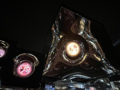 大阪・関西万博 EXPO2025 初めての妹を誘って行ってみた