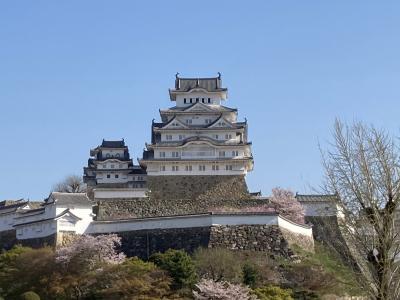 兵庫県姫路市に行ってきました