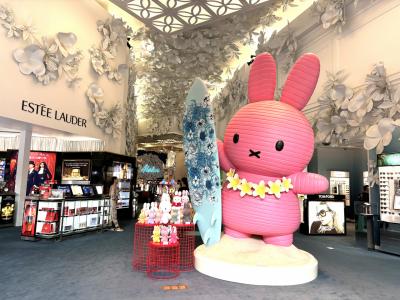 今年も参加♪還暦オーバー、ホノルルマラソン10キロ ウォーク!