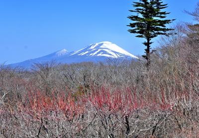 長野県北部の縄文弥生遺産めぐりと軽井沢