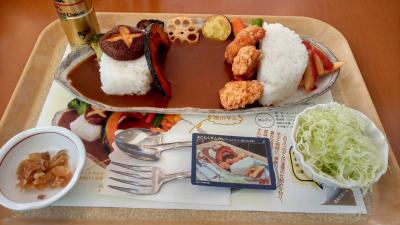 養老鉄道 ～ 道の駅 星のふる里ふじはし　よことくダムカレー・地獄のなんば～麺（公共交通機関のみ）