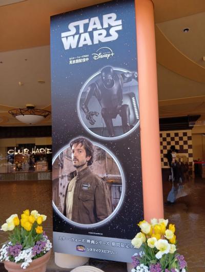 マックからの舞浜散歩