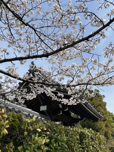 温泉じゃない方の草津でプチ現実逃避ヽ(´ー｀)ノ