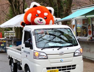 2025年も春の動物園祭りの茶臼山動物園（２）晴天の土曜と雨曇天の日曜の桜景色～茶臼山モノレールや動物園祭りハイライトやゆるキャラ茶太郎くん