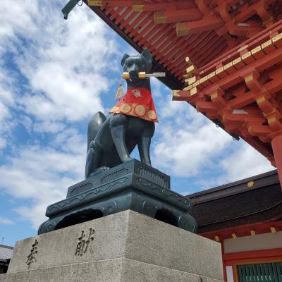 【伏見稲荷大社 】ひとり旅を楽しむ グルメ旅　蛙カフェ 京都観光