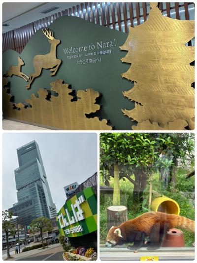 奈良で温泉を楽しんだ後は天王寺動物園…前半ひとり旅！