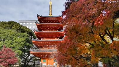 紅葉を求めて福岡の寺社をぶらぶらと