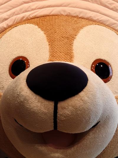2回目の！上海ディズニーランド【2日目】