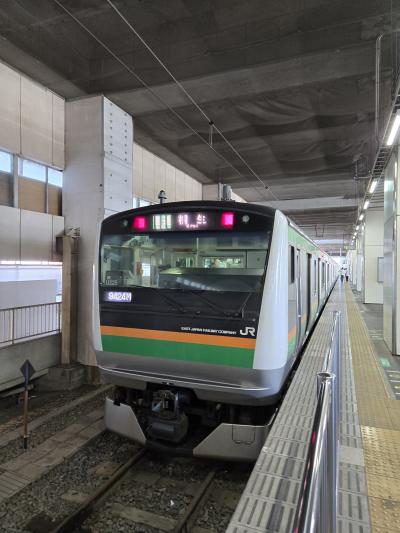 両毛線臨時列車乗車&東大宮操車場・大宮車両センター散策