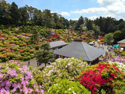 塩船観音寺とハイキング