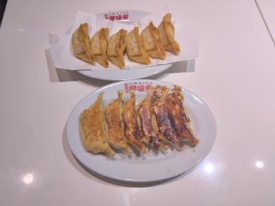 旅行体験記2025~宇都宮~ゴールデンウィーク突入スペシャル!日光以来及び3年ぶりの栃木大満喫!