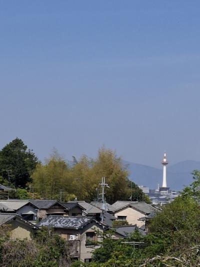 春 京都トレイル初チャレンジ! 伏見稲荷大社~粟田口