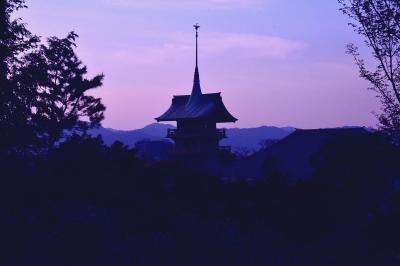 大雲院祇園閣特別公開★日本人のいない京都